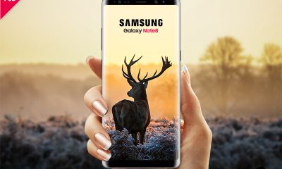 73b80a164a2ae4271b96098c3e29e1c5 400x240 - Download Samsung Galaxy Note 8 Mockup