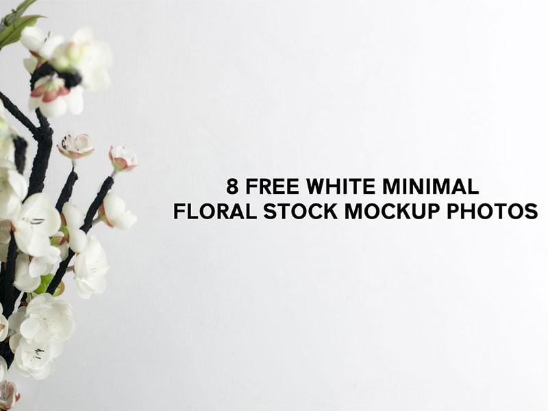 c1160e945ea296dd90a3726796a340cd - 8 Free White Minimal Floral Stock Mockup Photos